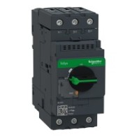 GV3L65 Wyłącznik silnikowy magnetotermiczny 65A zaciski skrzynkowe