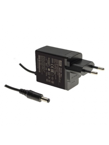 NGE12E24-P1J Zasilacz wtyczkowy 15W 24V 0.625A